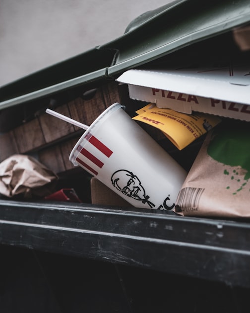 Eco-Friendly Waste Disposal Options
